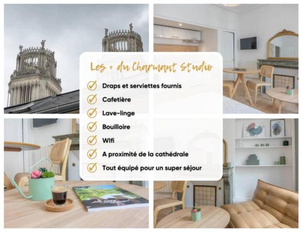 Charmant Studio Vue Cathedrale Quartier Historique Apartment Orleans Ngoại thất bức ảnh